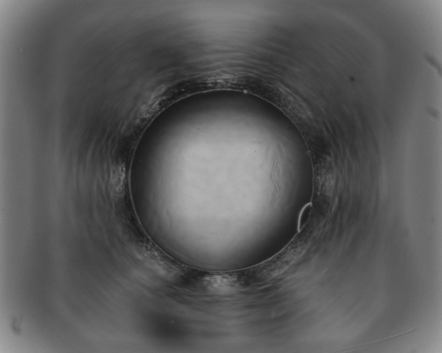 X0000091570660200708271159