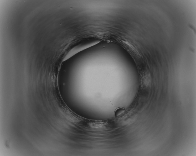 X0000091570661200708271159