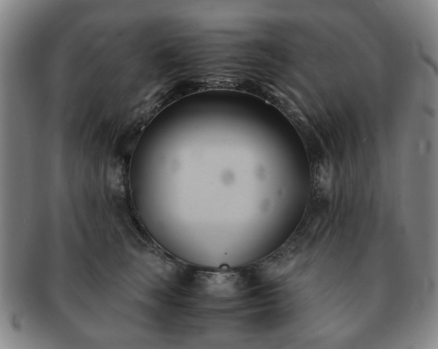 X0000091570663200708271159