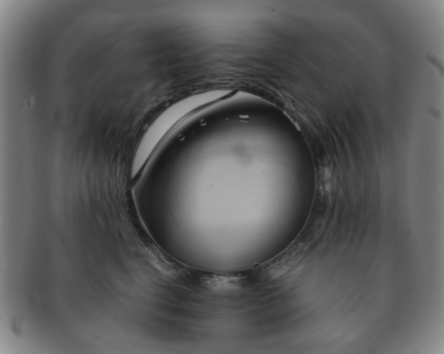 X0000091570664200708271159