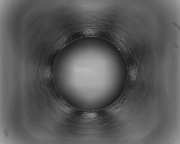 X0000091570665200708271159