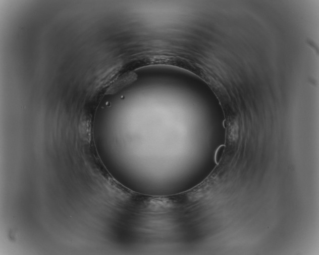 X0000091570666200708271159
