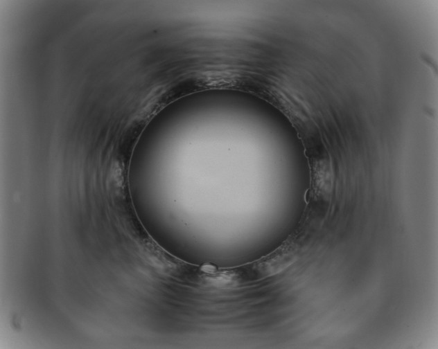 X0000091570667200708271159