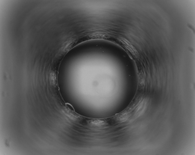 X0000091570669200708271159