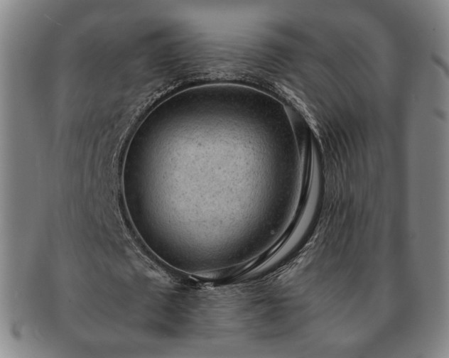X0000091570673200708271159