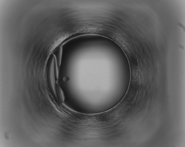 X0000091570674200708271159