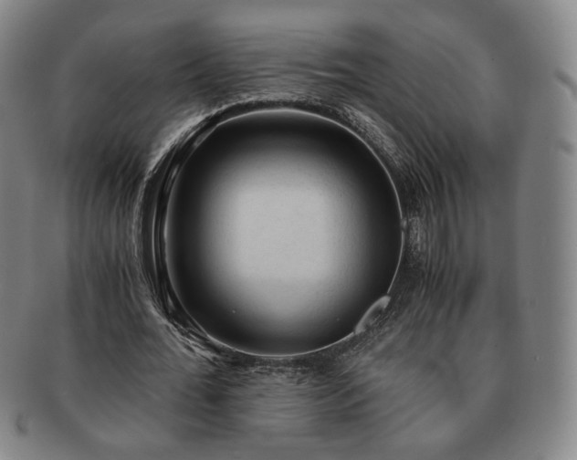 X0000091570676200708271159