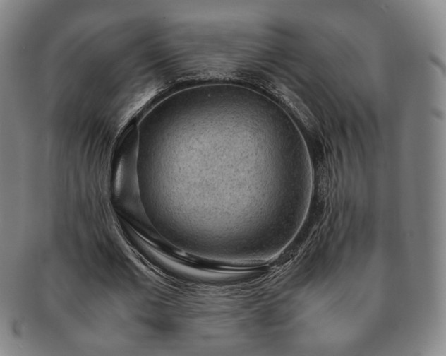 X0000091570677200708271159