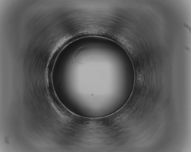 X0000091570678200708271159