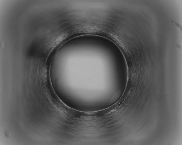 X0000091570679200708271159