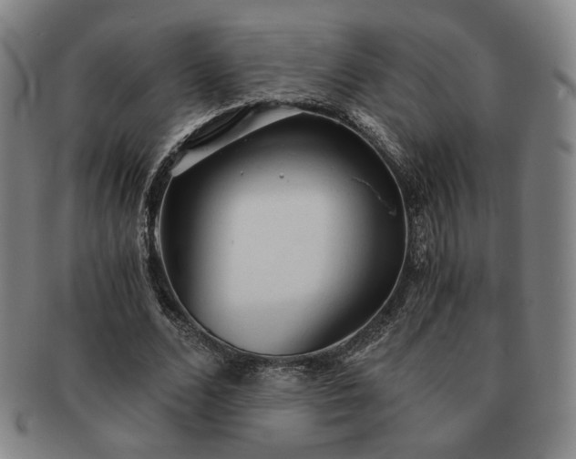 X0000091570680200708271159