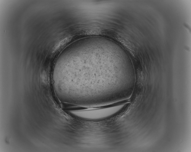X0000091570681200708271159
