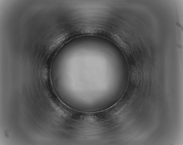 X0000091570683200708271159