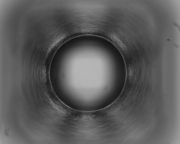 X0000091570684200708271158