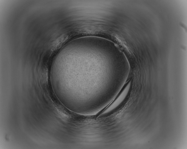 X0000091570685200708271158