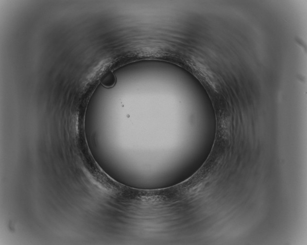 X0000091570686200708271158