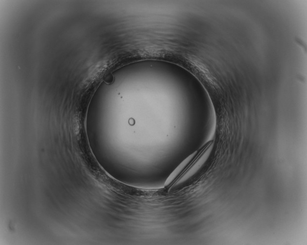 X0000091570687200708271158
