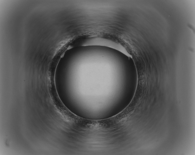 X0000091570688200708271158