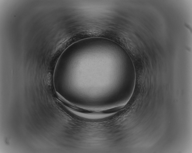 X0000091570689200708271158