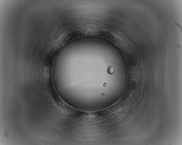 X0000091570695200708271158