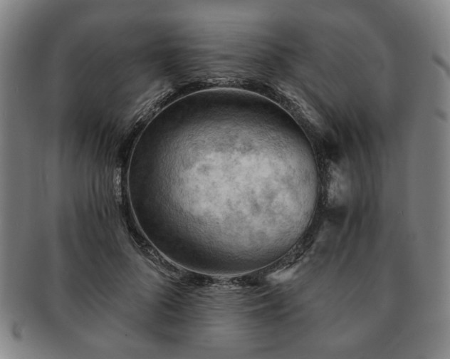X0000091570696200708271158