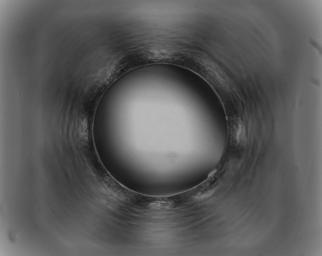 X0000091570700200708271158
