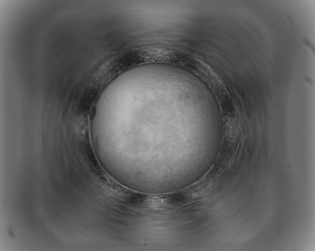 X0000091570701200708271158