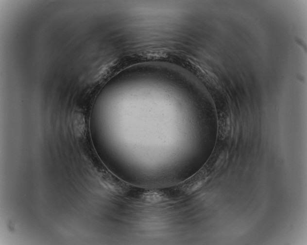 X0000091570704200708271158