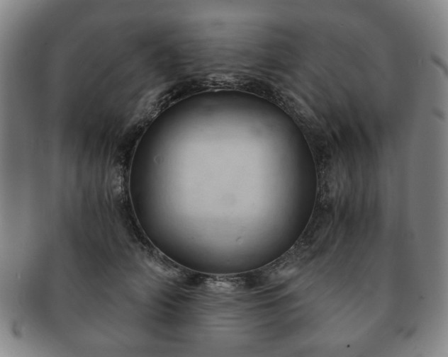 X0000091570706200708271158