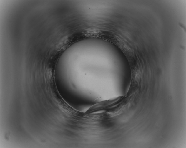 X0000091570711200708271158