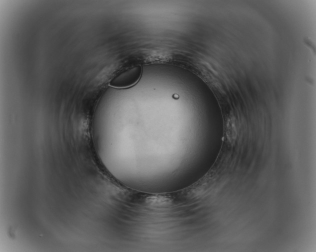 X0000091570714200708271158