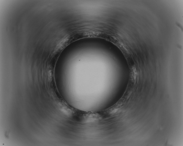 X0000091570716200708271158