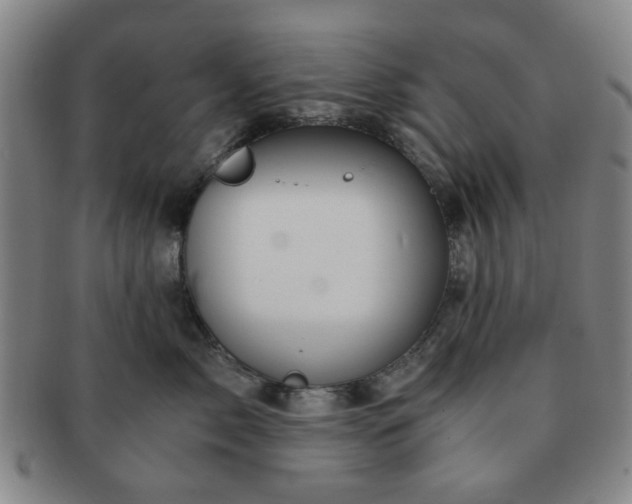 X0000091570717200708271158