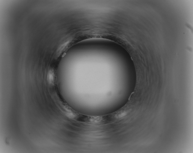 X0000091570720200708271158