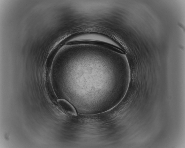 X0000091570722200708271157