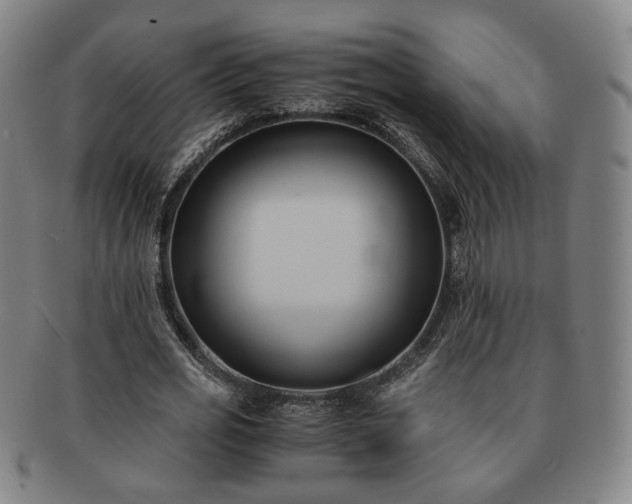 X0000091570725200708271157