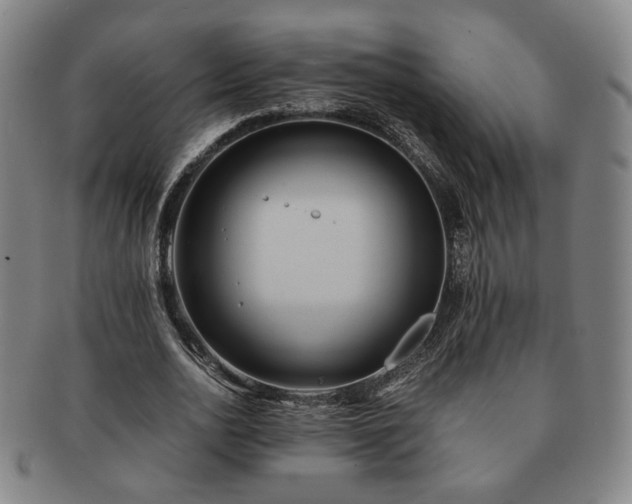 X0000091570726200708271157
