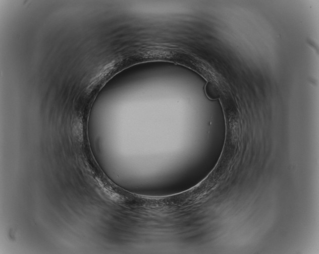 X0000091570729200708271157