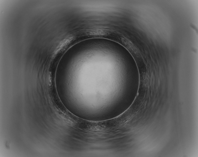 X0000091570731200708271157