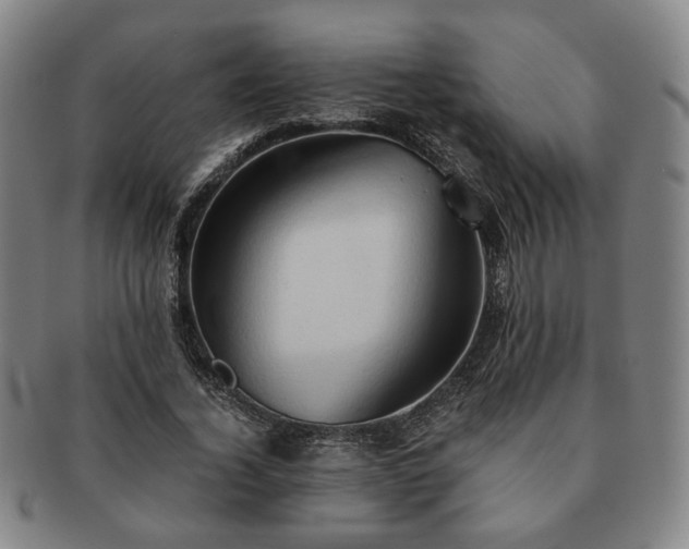 X0000091570732200708271157