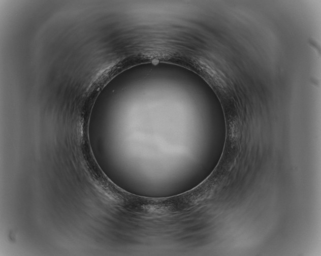 X0000091570733200708271157