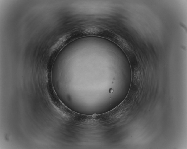 X0000091570734200708271157
