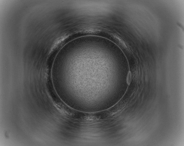 X0000091570736200708271157