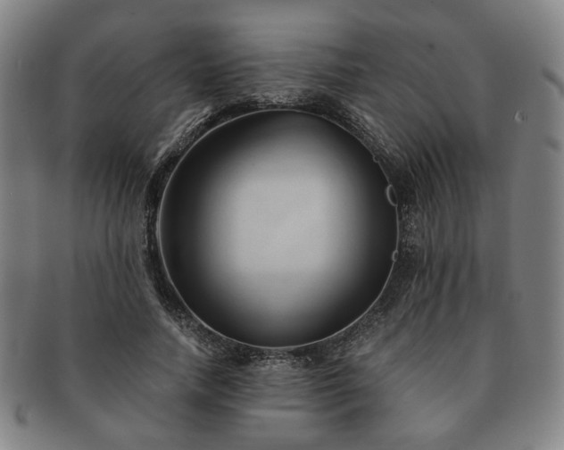 X0000091570738200708271157