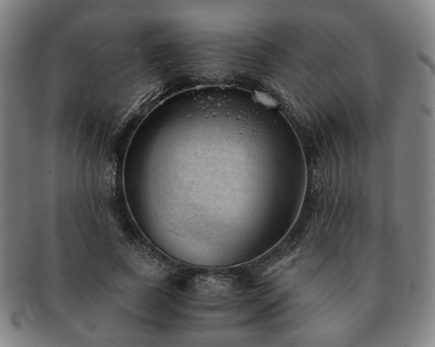 X0000091570739200708271157
