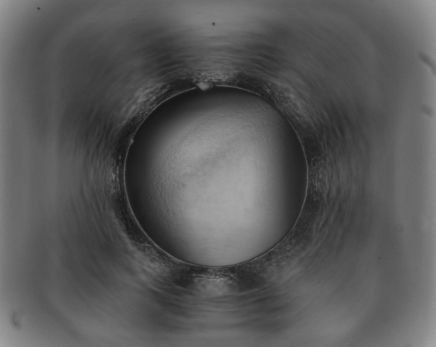X0000091570743200708271157