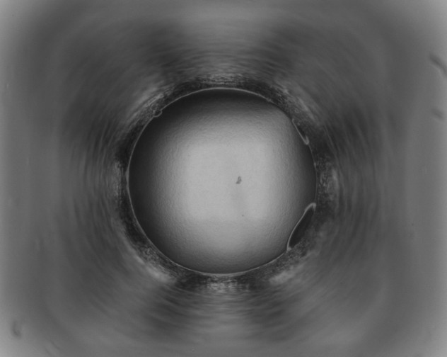 X0000091570744200708271157
