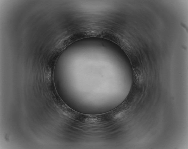 X0000091570745200708271158