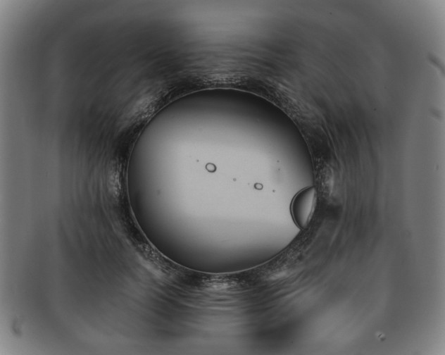 X0000091570746200708271158