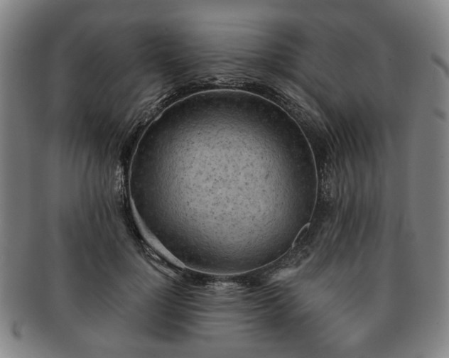 X0000091570748200708271158